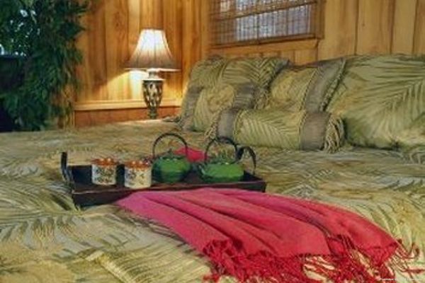 Hotel BLISSWOOD BED AND BREAKFAST (Cat Spring)